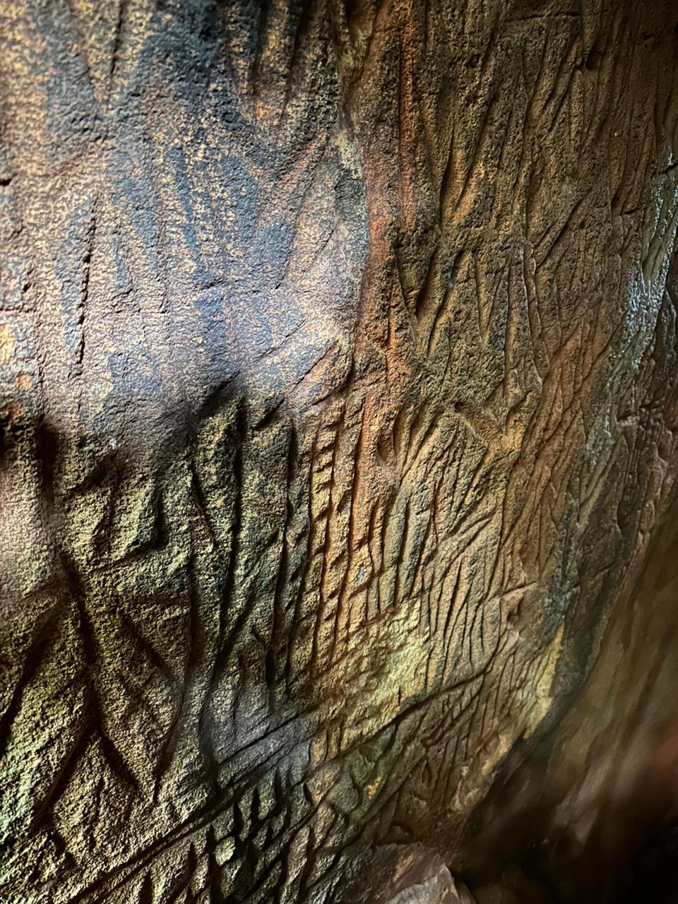 Danigala Gallery Image